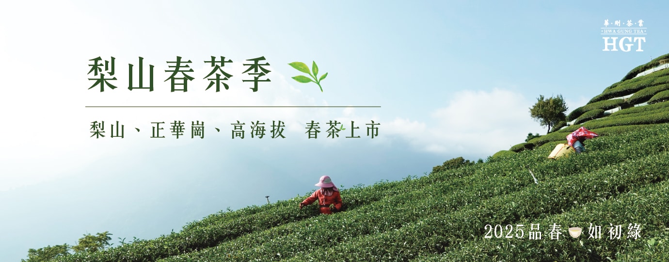 【春茶季】品春・如初綠