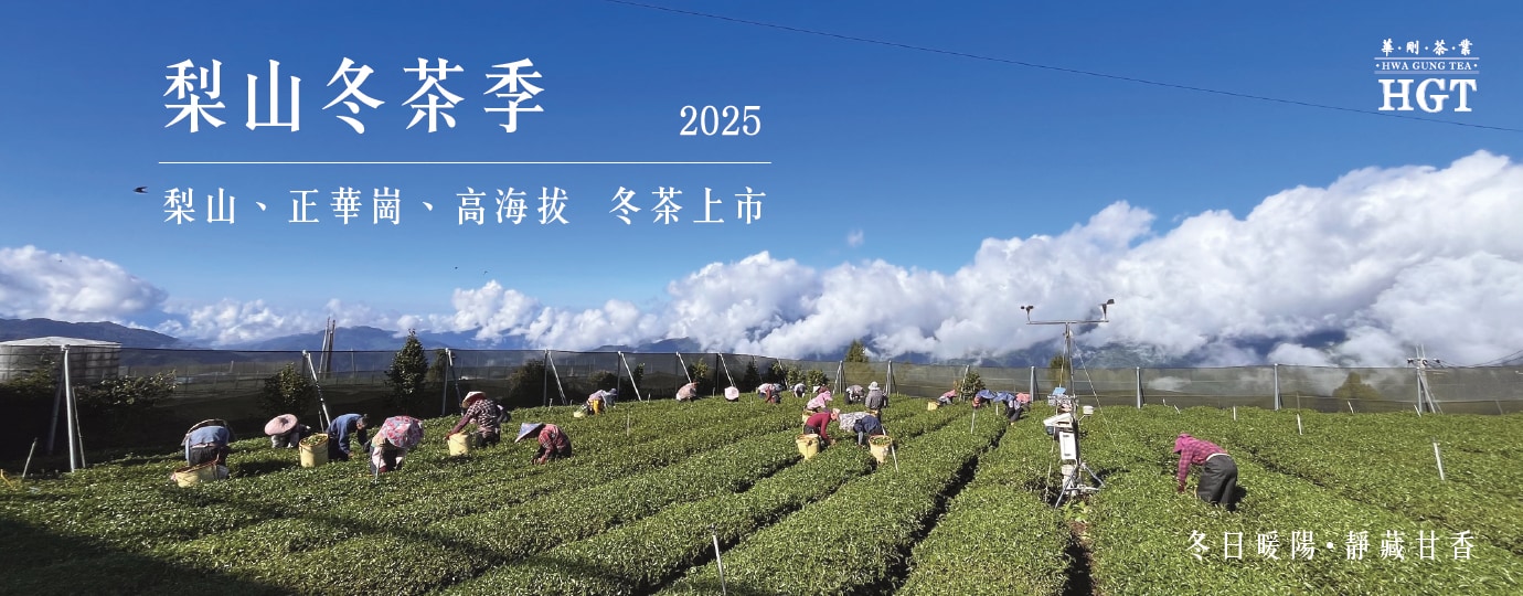 【冬茶季】